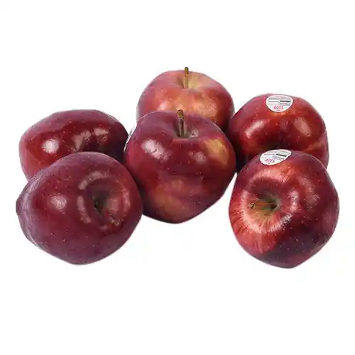 PRODUCT_1624534664139.webp PRODUCT_1624534664139.webp