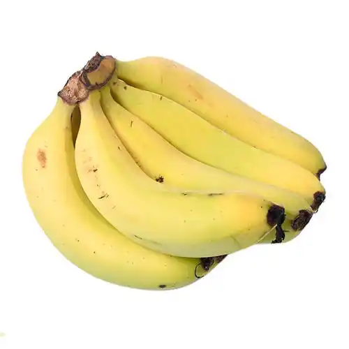 PRODUCT_1624535689005.webp PRODUCT_1624535689005.webp