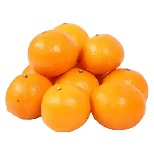 PRODUCT_1628150034212.webp
