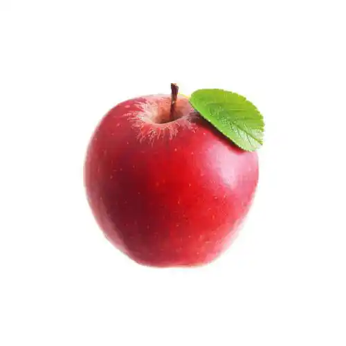 PRODUCT_1628500561478.webp PRODUCT_1628500561478.webp