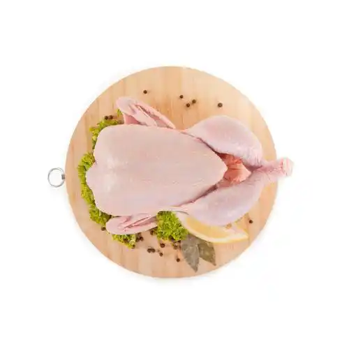 PRODUCT_1642505409194.webp PRODUCT_1642505409194.webp