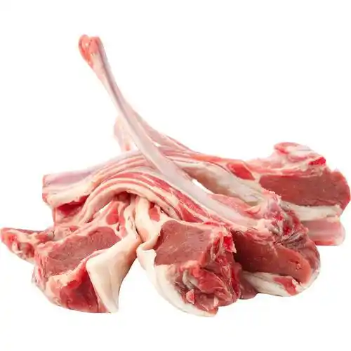 PRODUCT_1642505558703.webp PRODUCT_1642505558703.webp