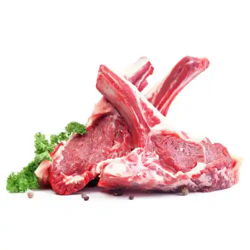 PRODUCT_1643800398165.webp PRODUCT_1643800398165.webp