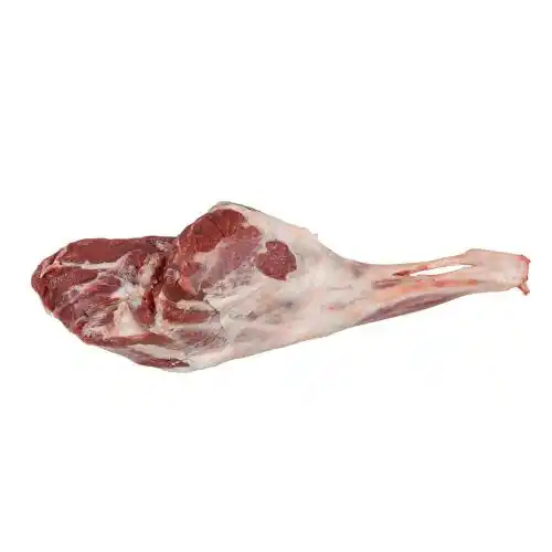 PRODUCT_1643800469261.webp PRODUCT_1643800469261.webp