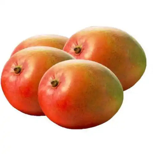 PRODUCT_1650168719628.webp