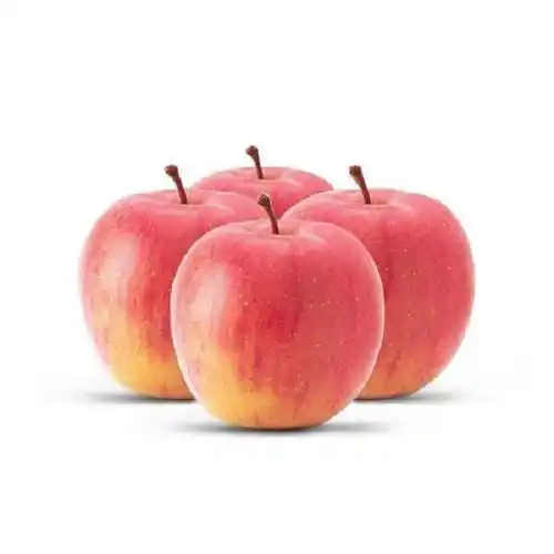 PRODUCT_1661923580454.webp PRODUCT_1661923580454.webp