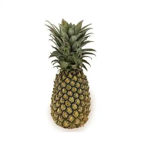 PRODUCT_1661923713139.webp PRODUCT_1661923713139.webp