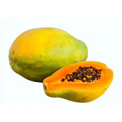 PRODUCT_1692249719933.webp PRODUCT_1692249719933.webp