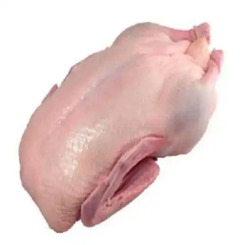 PRODUCT_1692249818936.webp