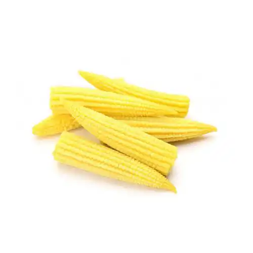 PRODUCT_1700736041124.webp PRODUCT_1700736041124.webp