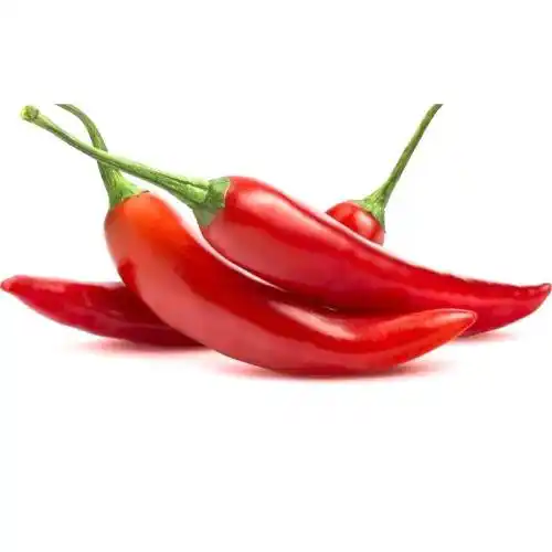 PRODUCT_1705987855950.webp